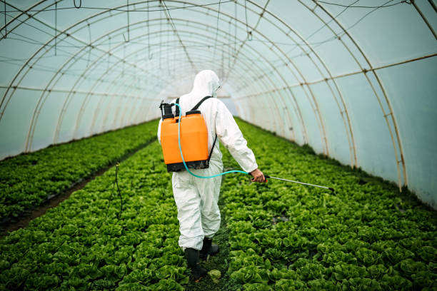 Best Commercial Pest Control Services  in Gowanda, NY