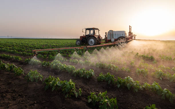 Reliable Gowanda, NY Pest Control Solutions