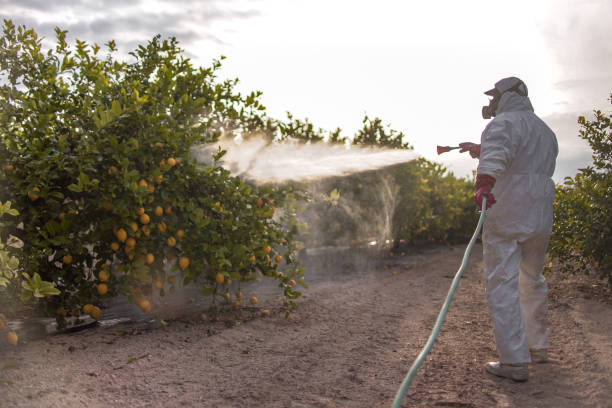 Best Local Pest Control Services  in Gowanda, NY