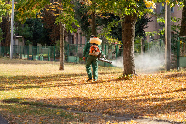 Best Insect Control  in Gowanda, NY