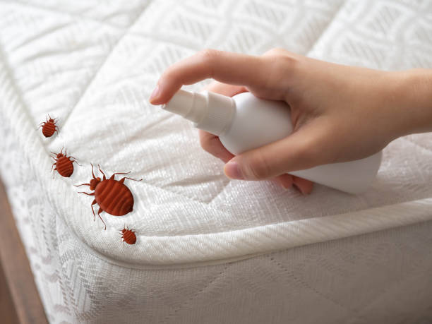 Best Residential Pest Control  in Gowanda, NY