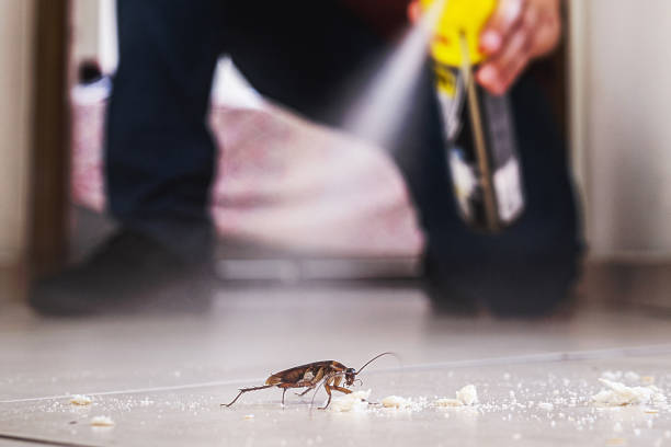 Best Pest Removal Services  in Gowanda, NY