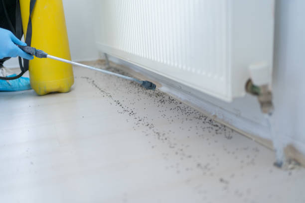 Best Best Pest Control Companies  in Gowanda, NY