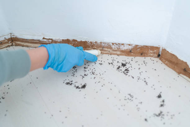Best Pest Inspection Near Me  in Gowanda, NY