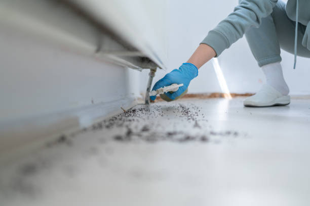 Best Exterminator Services  in Gowanda, NY