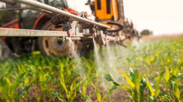 Pest Control Cost in Gowanda, NY